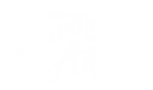 country angel shirts